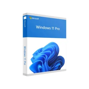 Cheap Windows 11 Pro & Windows 10 Pro Keys