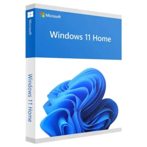 Cheap windows 11 10 pro home